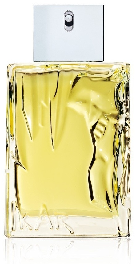Sisley Eau D'Ikar туалетная вода EDT 100 мл, для мужчин