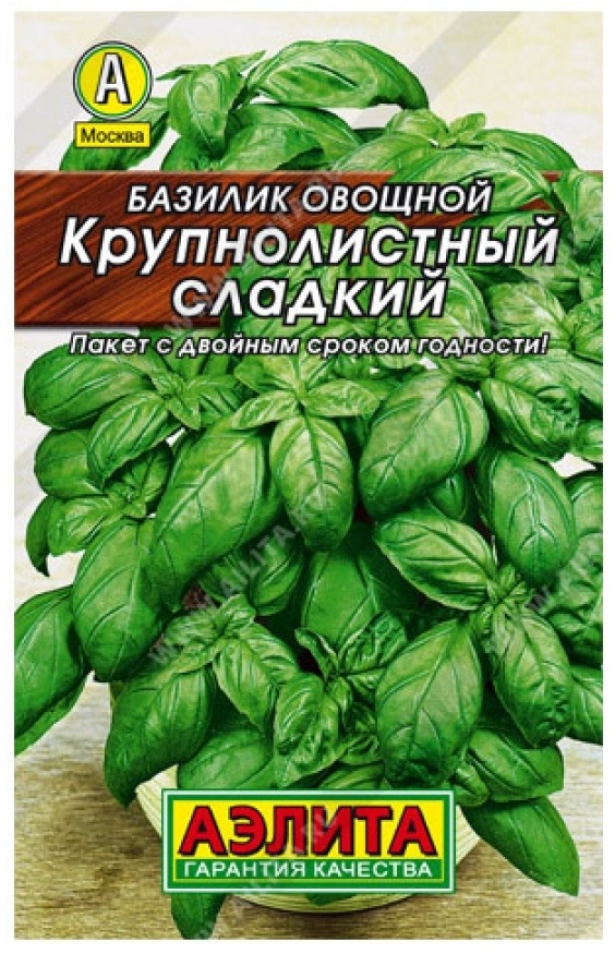 Аэлита базилик Базилик овощной Зеленый крупнолистный сладкий