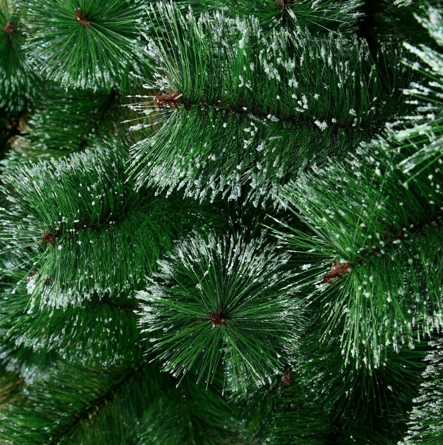 Фото 2
