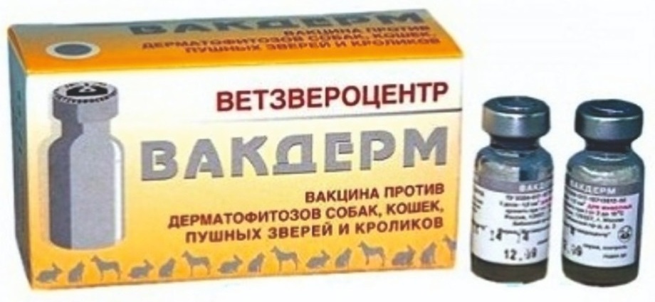Вакцина Ветзвероцентр Вакдерм суспензия 1 шт