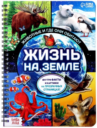 Бажева А.: Жизнь на земле. Животные и где они обитают