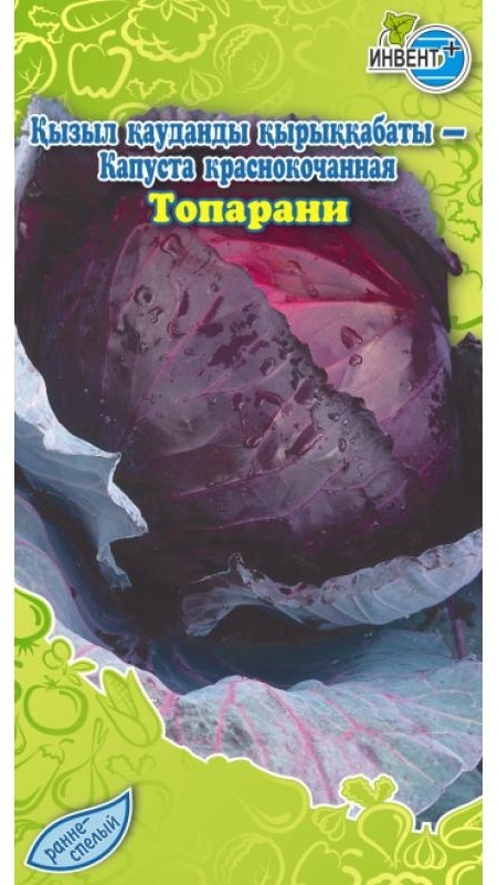 ИНВЕНТ+ капуста краснокочанная Топарани