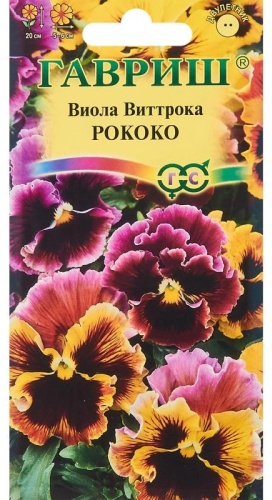 Гавриш виола Рококко Виттрока