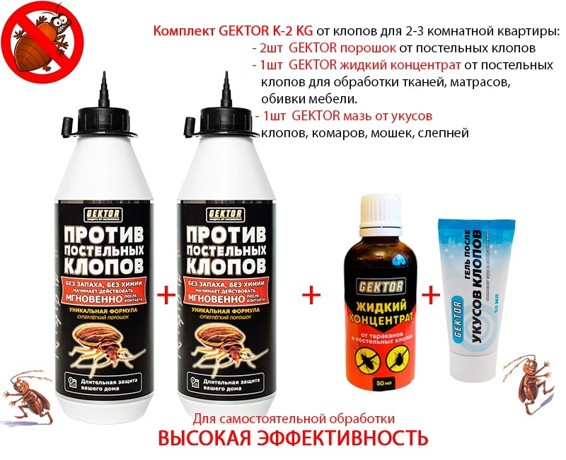 Gektor K-2 KG
