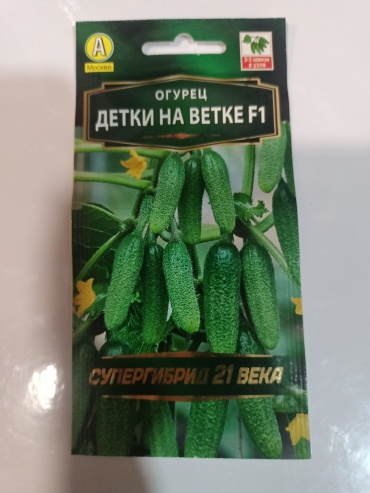 Аэлита огурец Детки на ветке F1