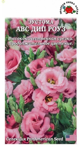 Золотая сотка Алтая эустома АВС Дип Роуз