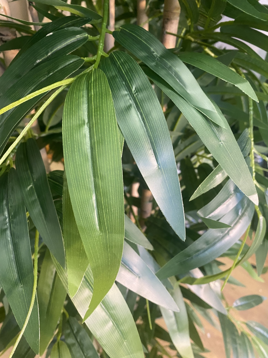 Фото 3