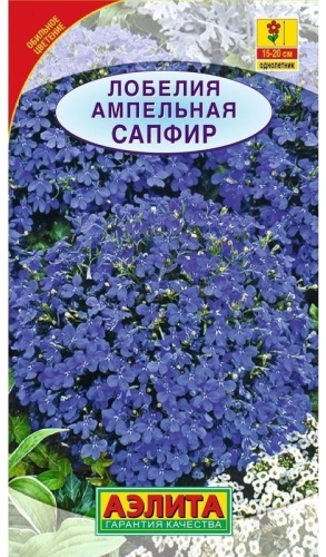 Лобелия Сапфир ампельная