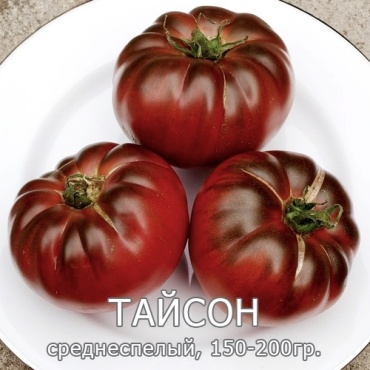 Коллекционные семена томат Тайсон