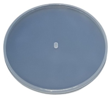 ArtEpoxy Круг с отверстием 20 см ArtEpoxy mold