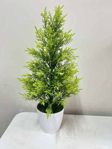Фото 4