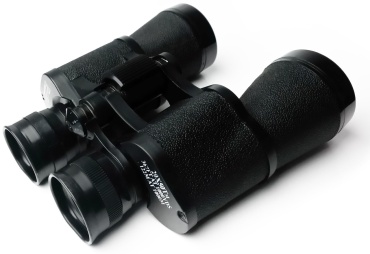 Bushnell Powerview Downy 10x50 черный