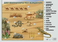 Дәмді түкті писькилер