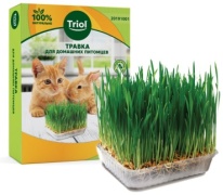 Triol трава овес, ростки пшеницы, ячмень 70 г 1 шт