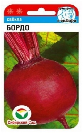 Сибирский сад свёкла Бордо