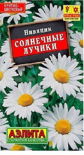 Аэлита нивяник Нивяник Солнечные лучики