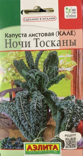 Аэлита капуста японская Ночи Тосканы