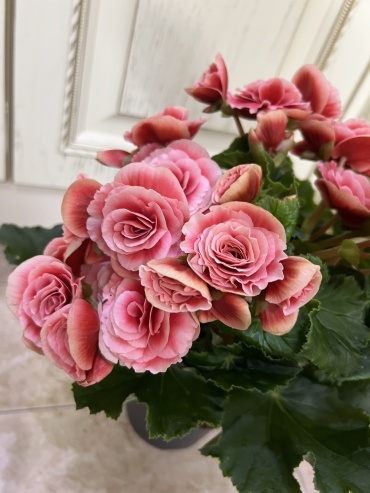 Фото 2
