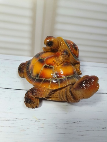 Фото 2