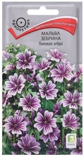 Поиск мальва Зебрина