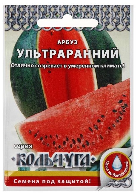 Русский огород арбуз Ультраранний Кольчуга