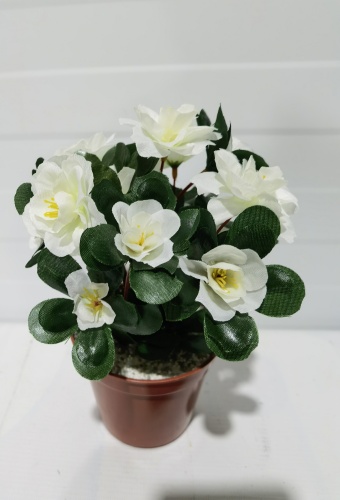 Фото 4