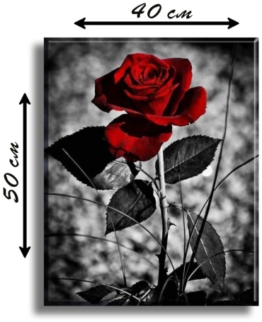 Фото 2