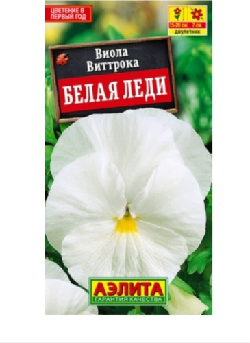Аэлита виола Белая леди