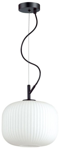 Люстра подвесная Odeon Light E27, кол-во ламп: 1 шт