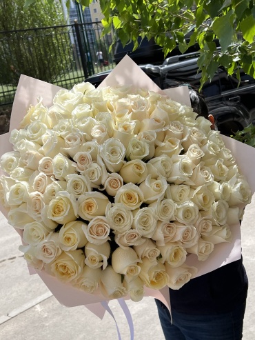 Flowers Center Astana моно-букет в оформлении роза 101 шт 60 см