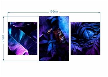 Фото 2