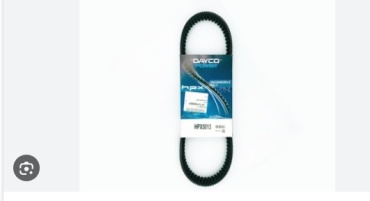 DAYCO ремень 4PK856