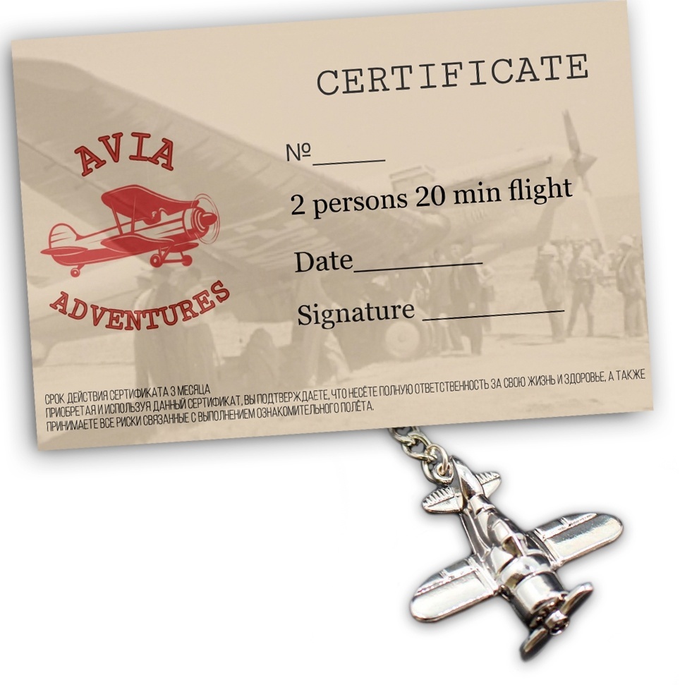 Купить Cessna сертификат на полёт на самолёте 20 минут 2 человека в ...