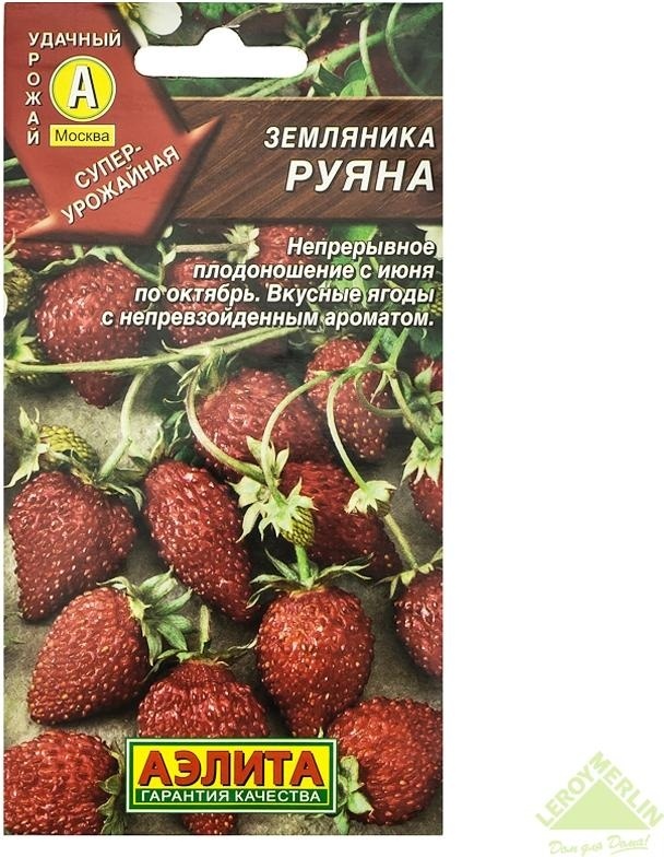 Аэлита земляника Руяна альпийская
