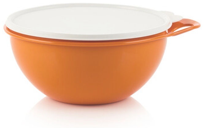 Купить Tupperware контейнер Милиан РП282, пластик в кредит в Алматы ...
