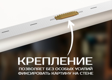 Фото 5