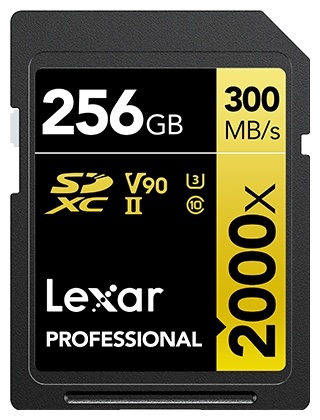 Карта памяти Lexar LSD2000256G-RNNNC 256 Гб