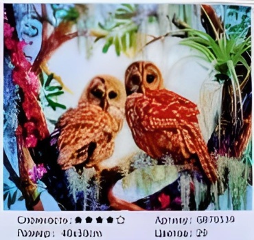 Rainbow Art GB70539 30 см x 40 см