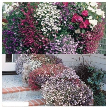 Фото 3