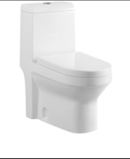 CSG унитаз-моноблок 80336, санфаянс