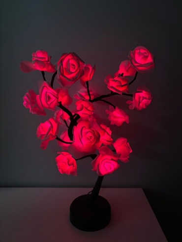 Фото 6
