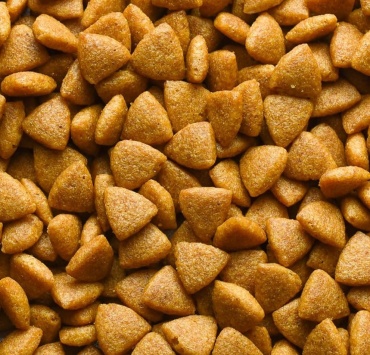 Royal Canin Mini Puppy для щенков мелких пород 1 кг