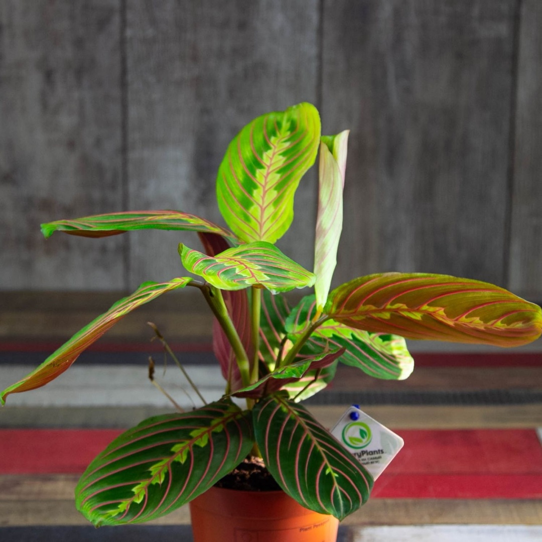 Фото 3