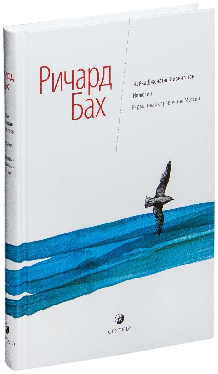 Книга баха чайка по имени джонатан ливингстон. Чайка Джонатан Ливингстон книга. Чайка по имени Ливингстон книга.