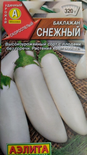 Аэлита баклажан Снежный
