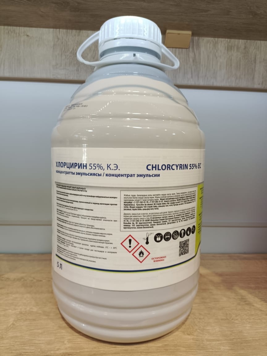 Бірінші адамнан араб порно