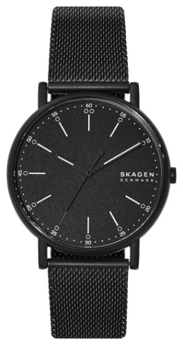 Кварцевые Skagen SKW6579 сталь