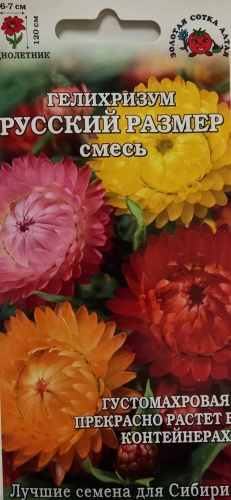 Золотая сотка Алтая гелихризум Русский размер