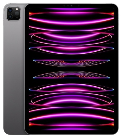 Купить Планшет Apple iPad Pro 2022 Wi-Fi 11 дюйм 8 Гб/128 Гб серый в ...