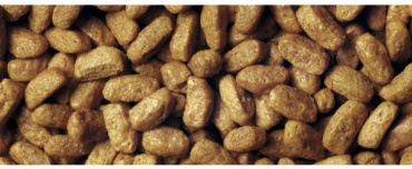 Purina One Pro Plan Delicate индейка 1 кг